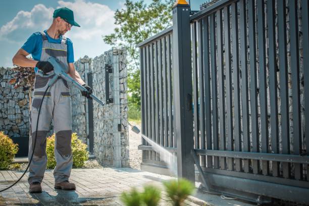 Best Graffiti Removal  in Roosevelt, NY