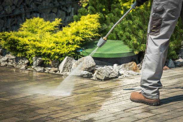 Best Driveway Pressure Washing  in Roosevelt, NY
